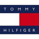 ZEGAREK MĘSKI TOMMY HILFIGER 1791611 SHAWN (zf057b)