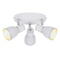 LAMPA SUFITOWA CANDELLUX FIDO 98-63397 PLAFON E14 BIAŁY+CHROM