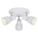 LAMPA SUFITOWA CANDELLUX FIDO 98-63397 PLAFON E14 BIAŁY+CHROM